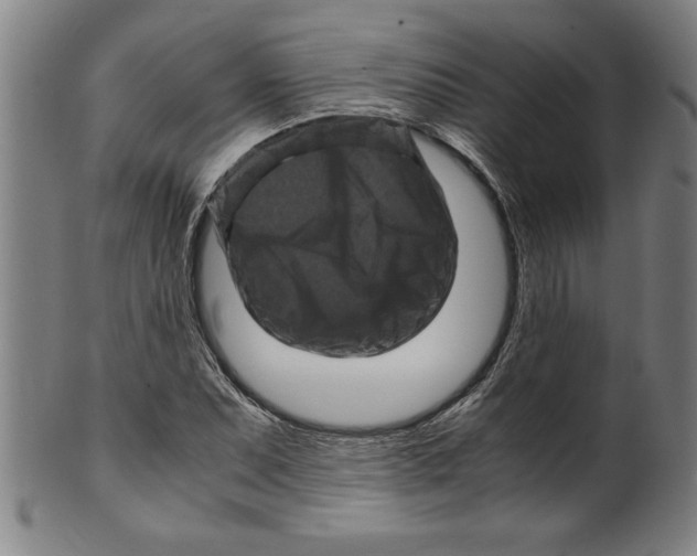 X0000099471071200806061214