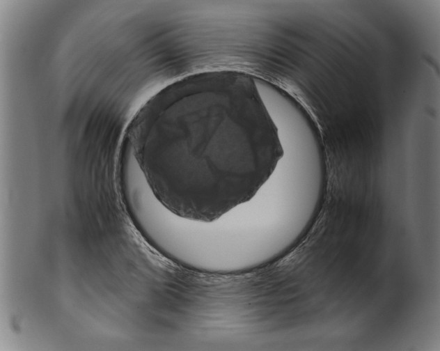 X0000099471072200806061214