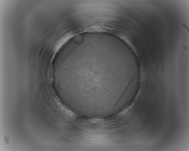 X0000099471075200806061214