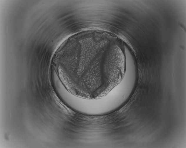 X0000099471076200806061214