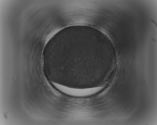 X0000099471077200806061214