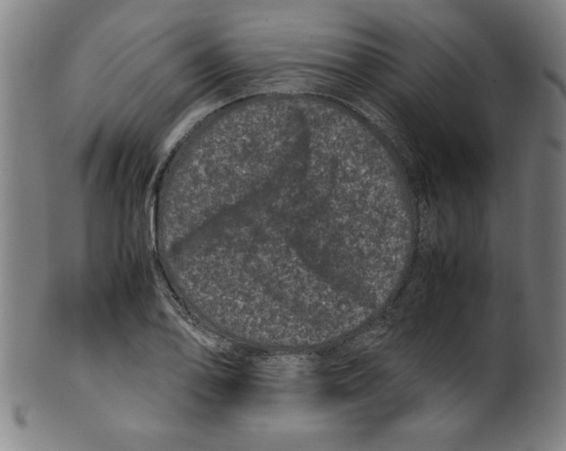 X0000099471078200806061214