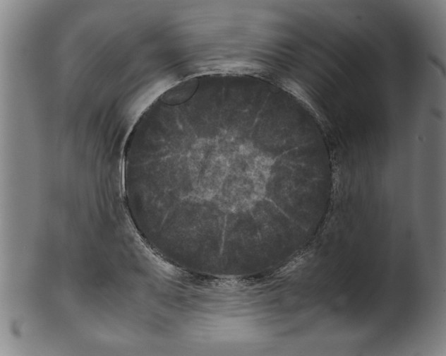 X0000099471079200806061214