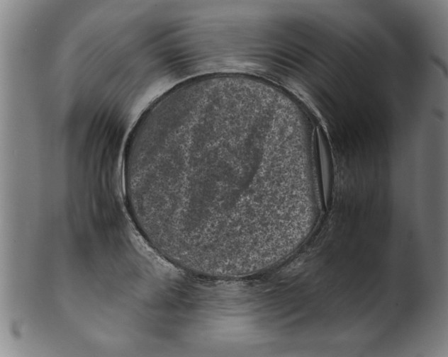 X0000099471080200806061214