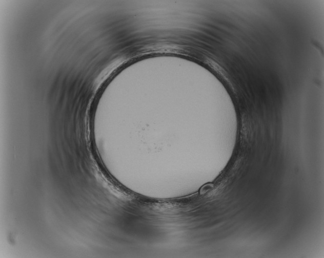 X0000099471082200806061214