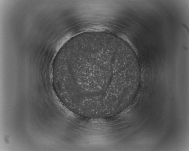 X0000099471083200806061214