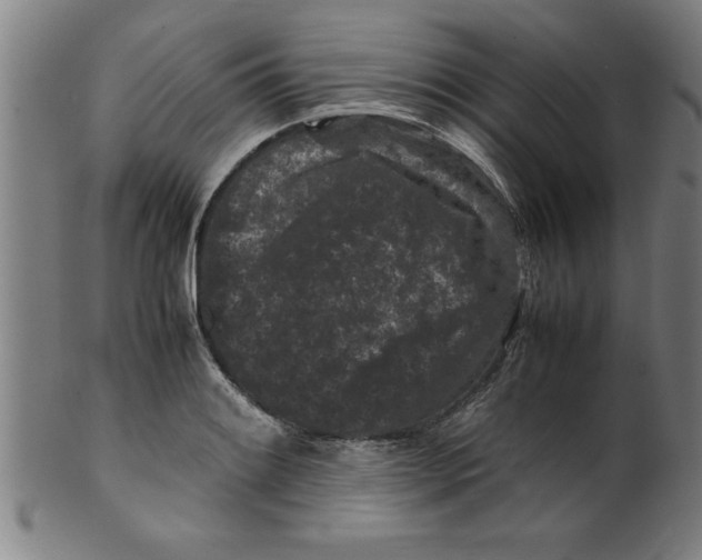 X0000099471084200806061214