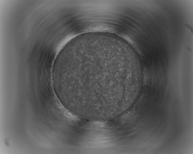 X0000099471086200806061214