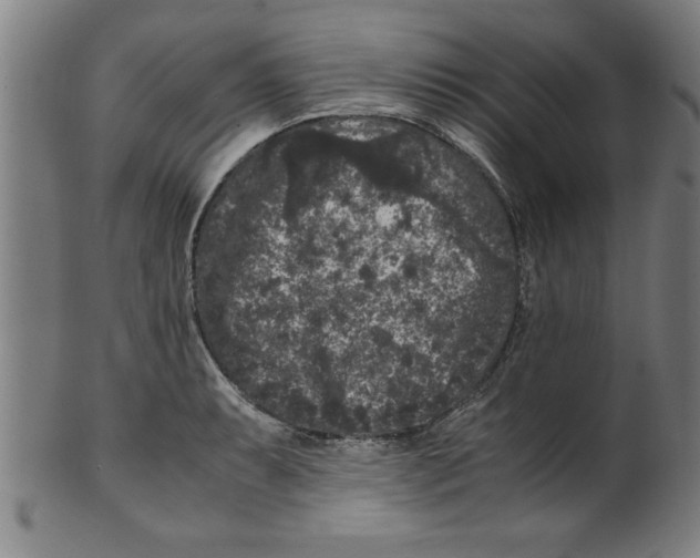 X0000099471087200806061214