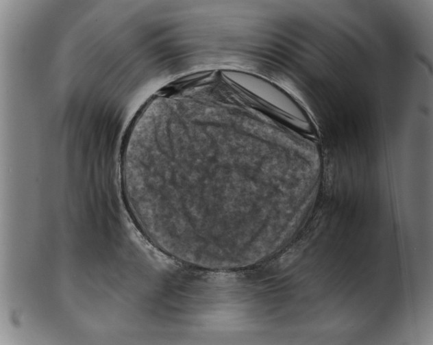 X0000099471088200806061214