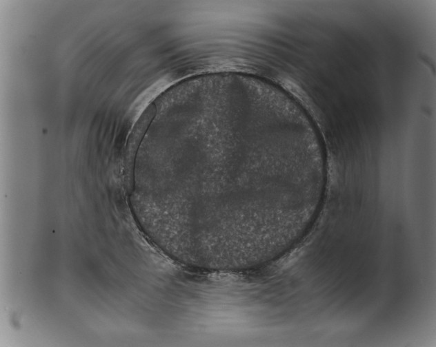 X0000099471089200806061214