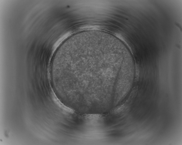 X0000099471090200806061214