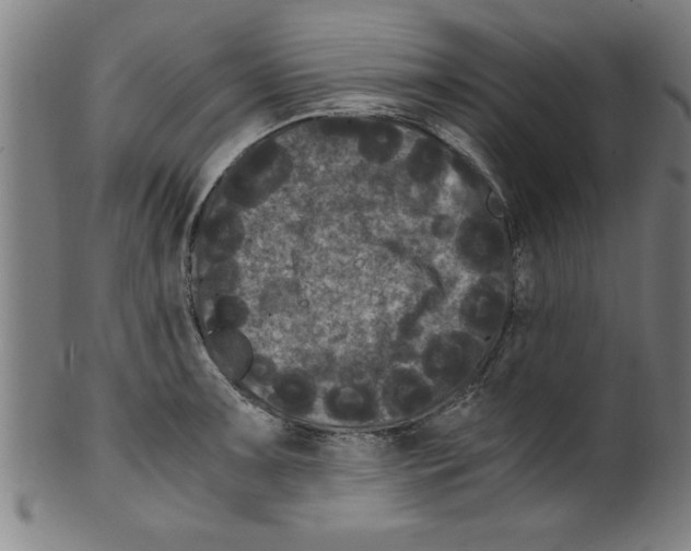 X0000099471091200806061214