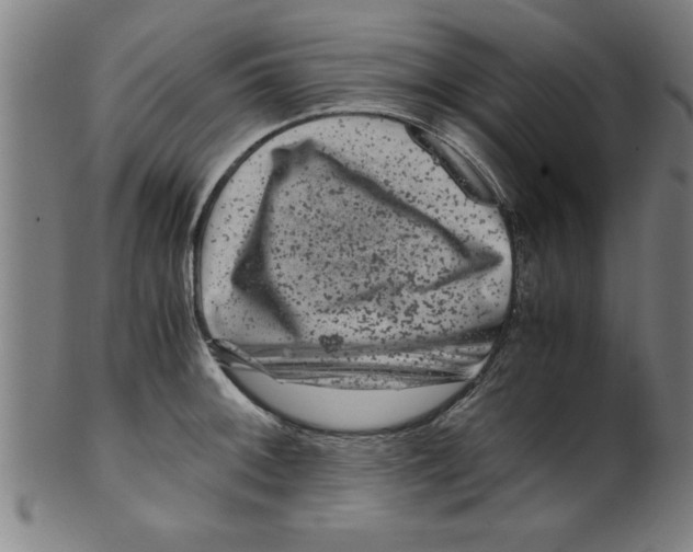 X0000099471092200806061214