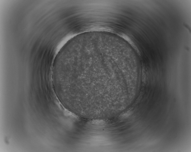 X0000099471094200806061214