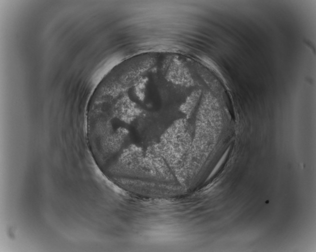 X0000099471095200806061214