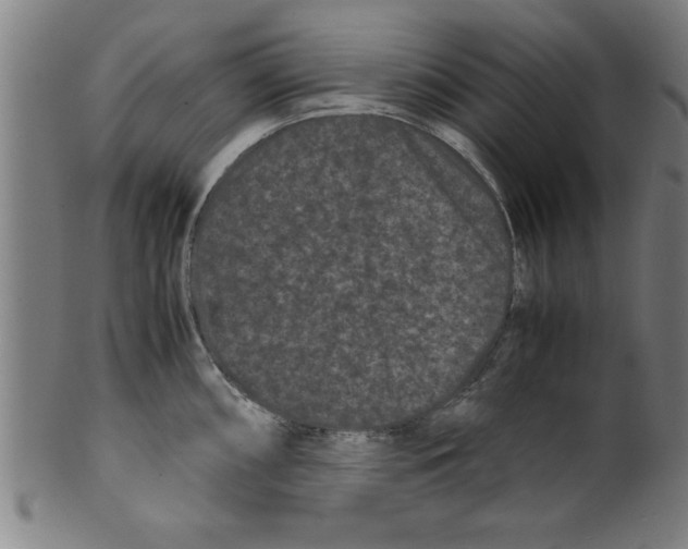 X0000099471098200806061214