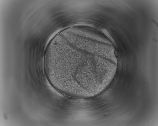 X0000099471100200806061214