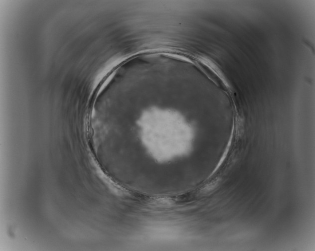 X0000099471101200806061214