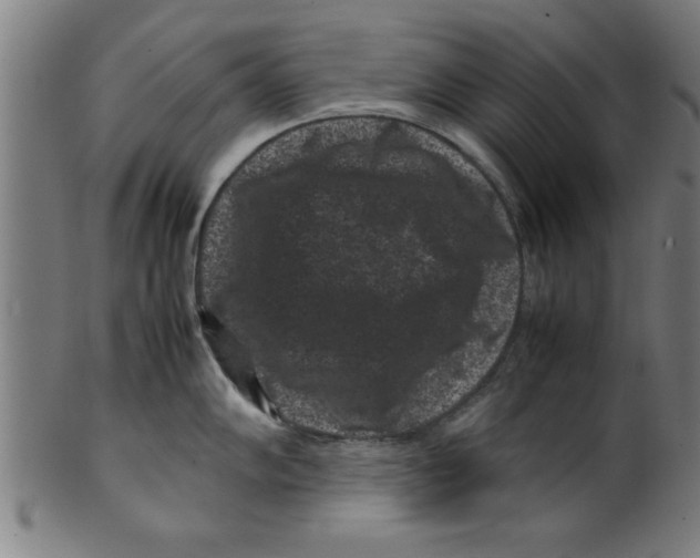 X0000099471102200806061214