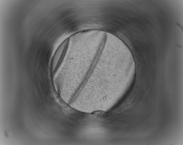 X0000099471104200806061214