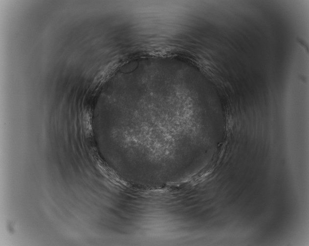 X0000099471106200806061213