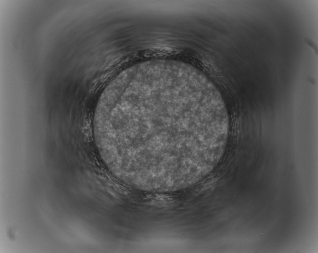 X0000099471109200806061213