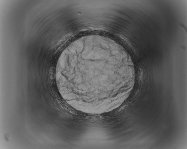 X0000099471110200806061213