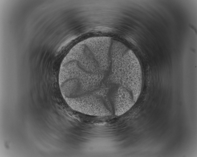 X0000099471112200806061213