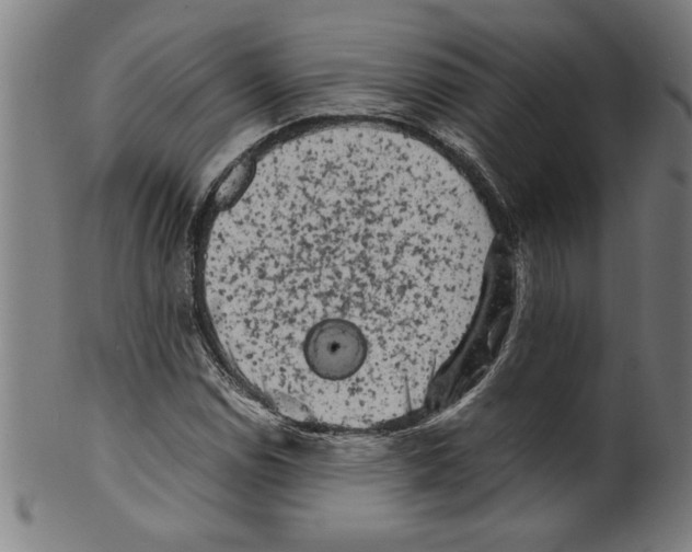 X0000099471114200806061213