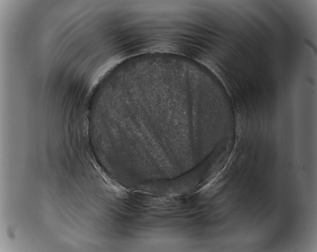 X0000099471115200806061213