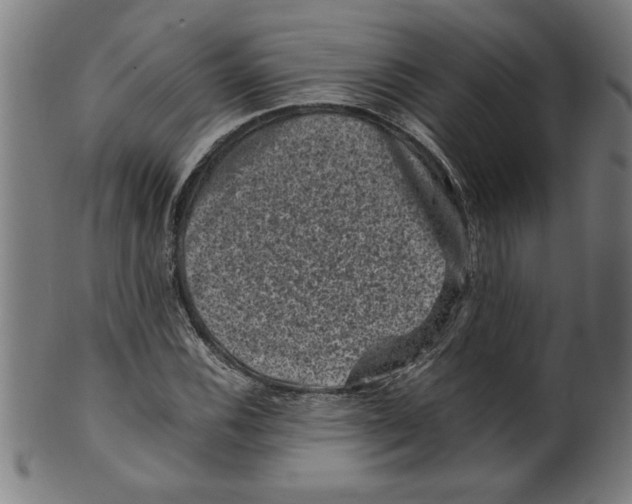 X0000099471116200806061213