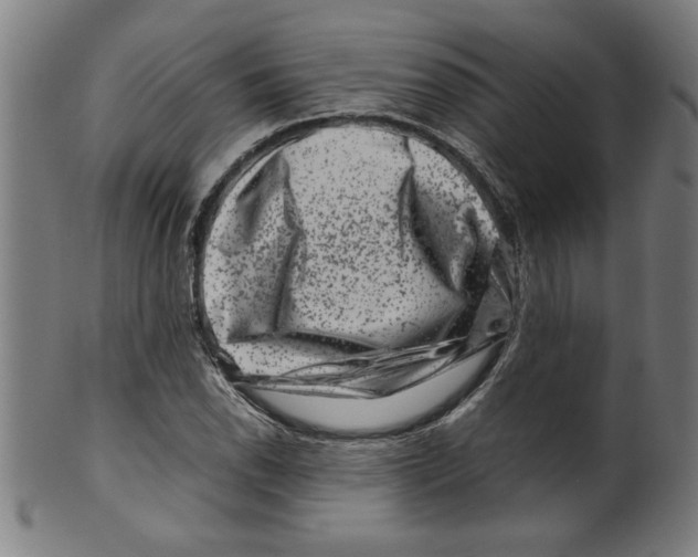 X0000099471118200806061213