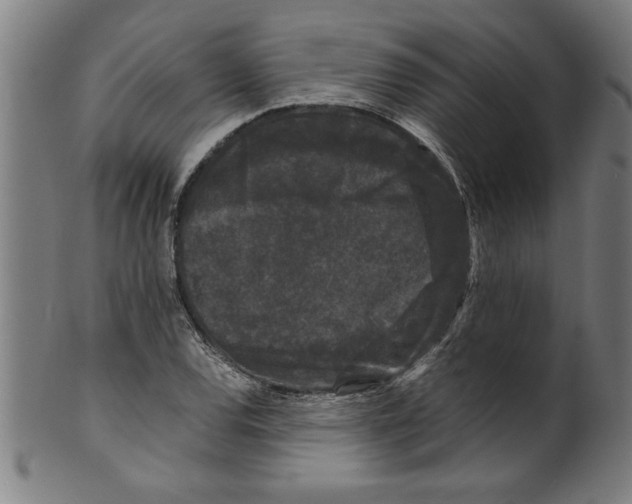 X0000099471120200806061213