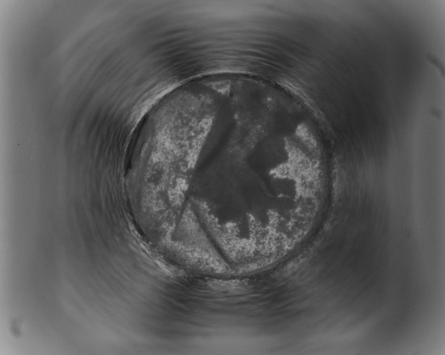 X0000099471121200806061213