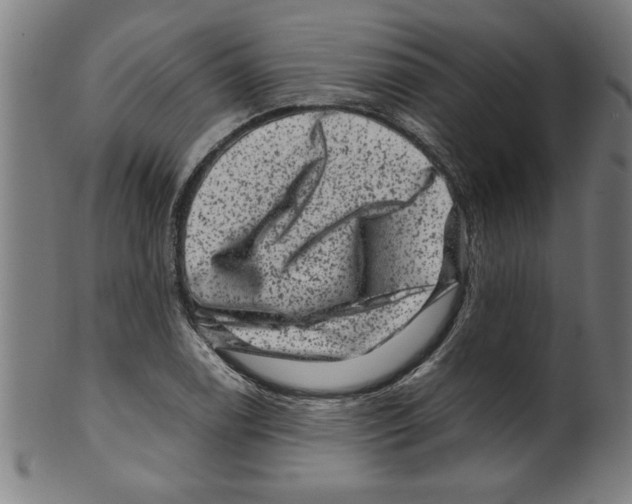 X0000099471122200806061213