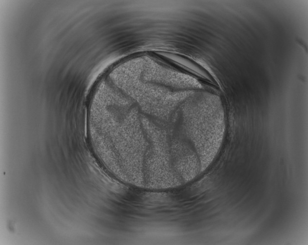 X0000099471123200806061213