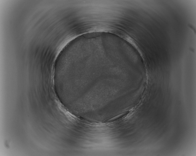 X0000099471124200806061213