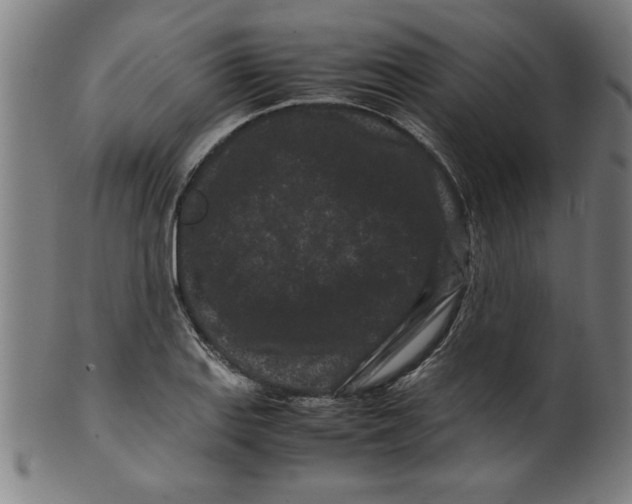 X0000099471127200806061213