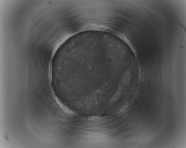 X0000099471128200806061213