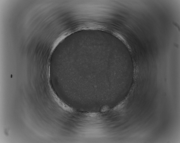 X0000099471130200806061213