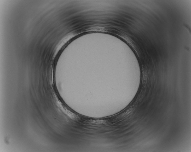 X0000099471131200806061213