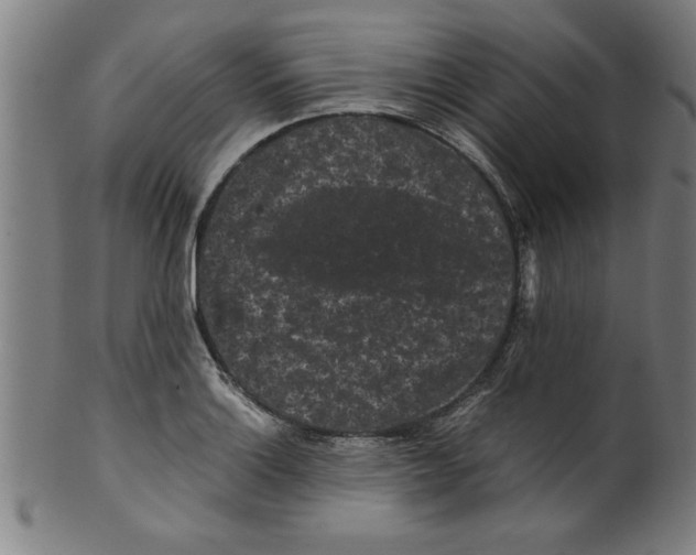 X0000099471132200806061213