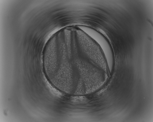 X0000099471133200806061213