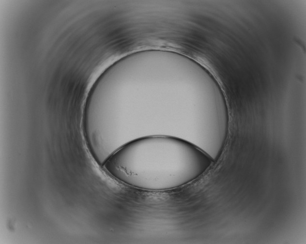 X0000099471136200806061213