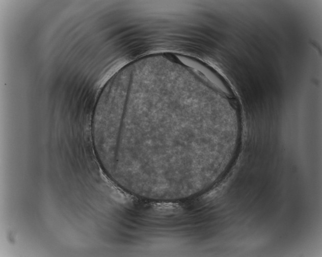 X0000099471137200806061213