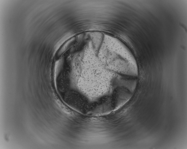 X0000099471138200806061213