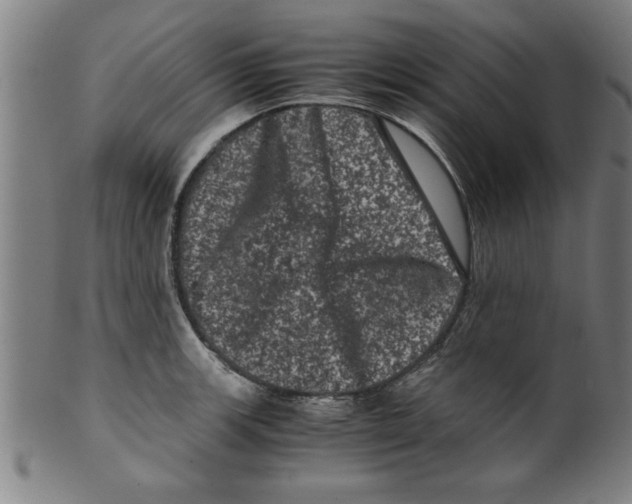 X0000099471139200806061213