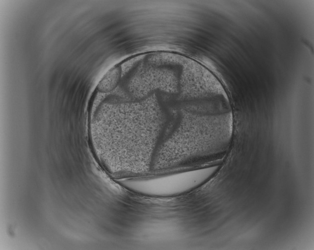 X0000099471140200806061213