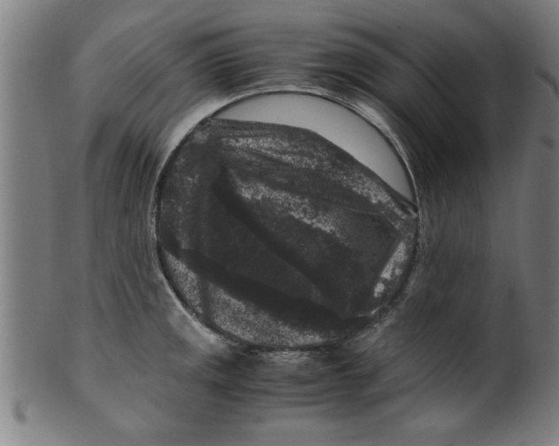 X0000099471141200806061213